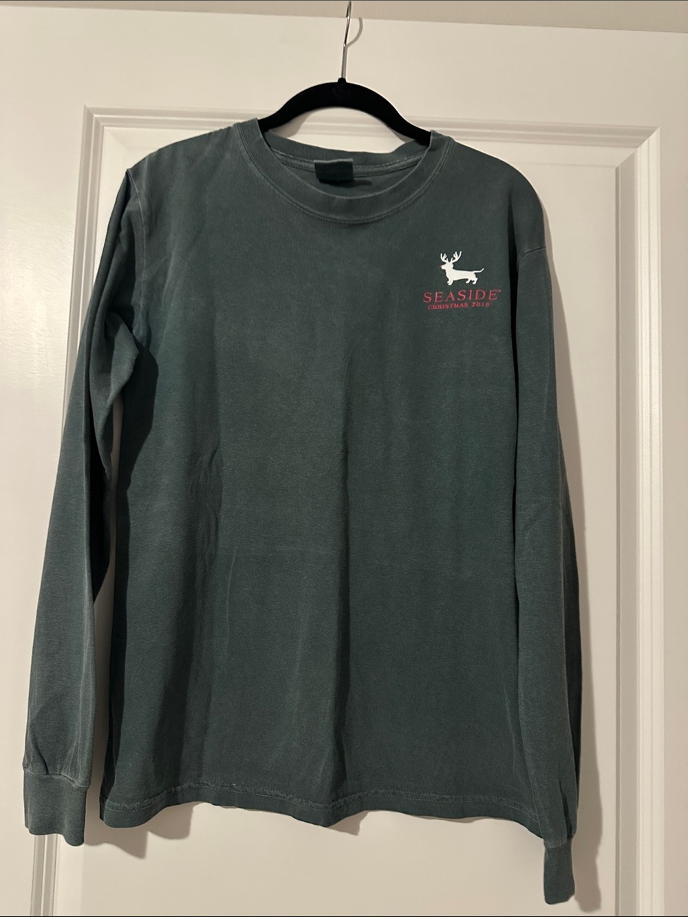 Comfort Colors Long Sleeve Crewneck Tee - Teal Green
